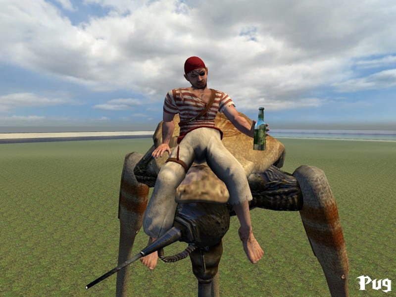 Lolrus Creek Loading image